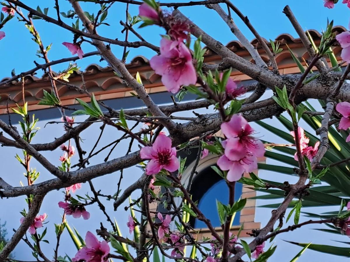 Maison Les Agapanthes Villeneuve-lès-Béziers Zewnętrze zdjęcie